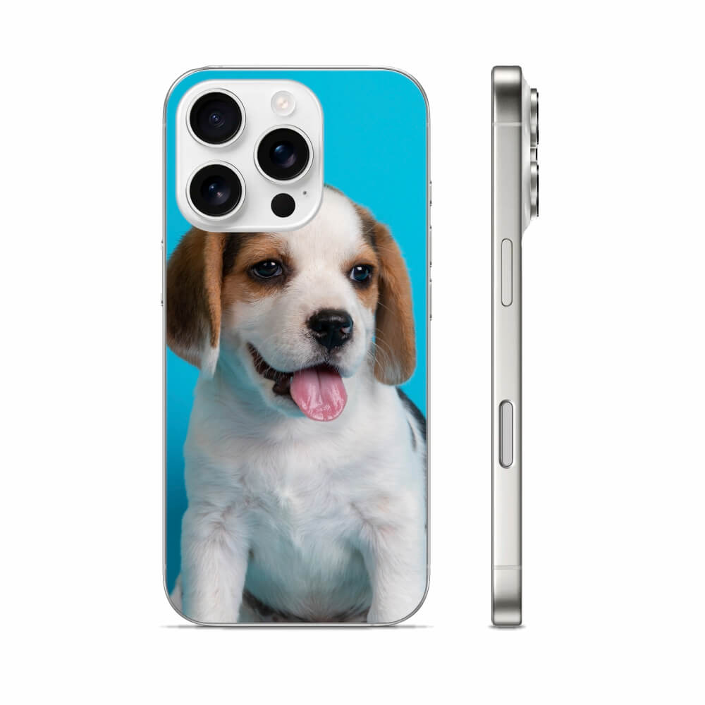 CELULAR E ACESSÓRIOS